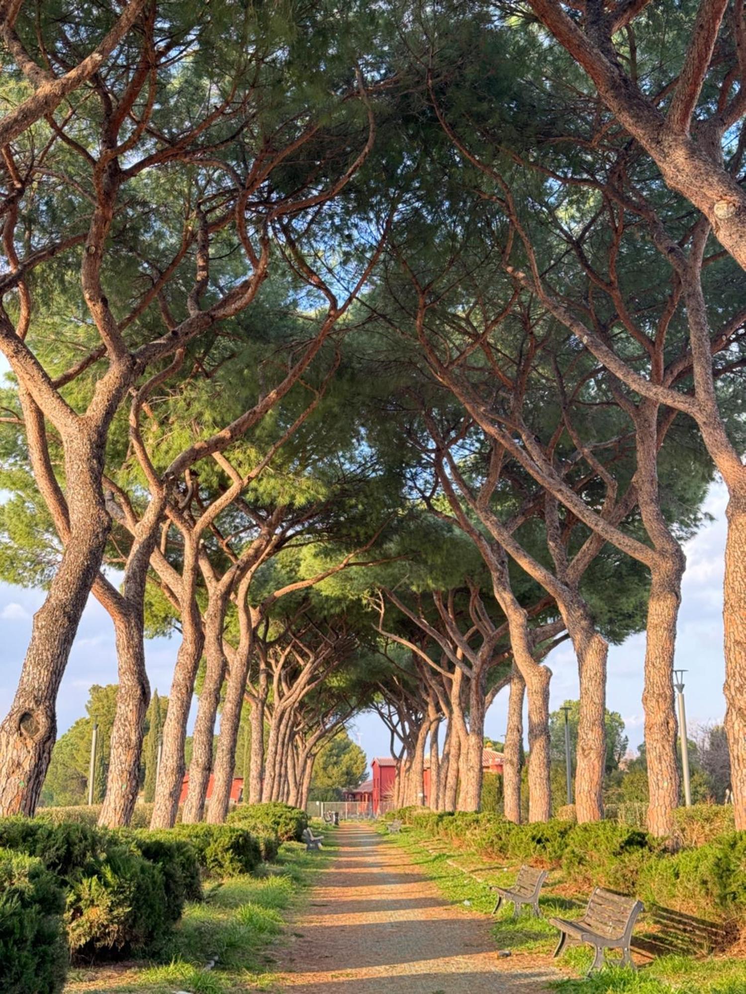 Appartamento Flower Garden House Roma