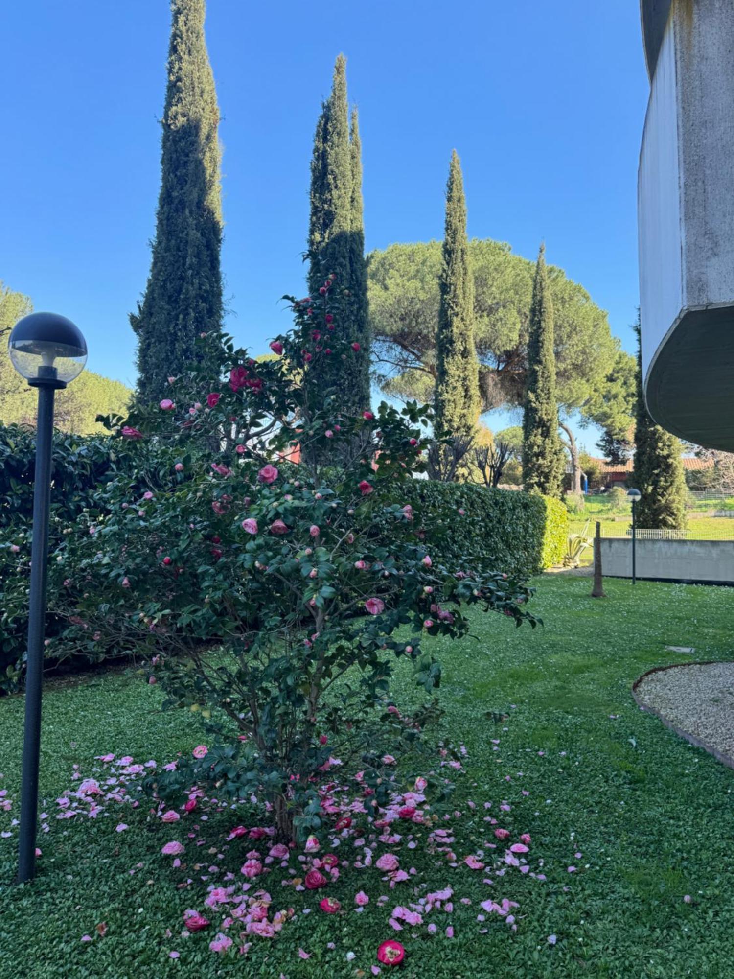 Flower Garden House Appartamento Roma
